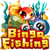 Câu Cá Bingo fun88vnblog